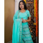 Star Gazing Embroidered Lehenga Set!